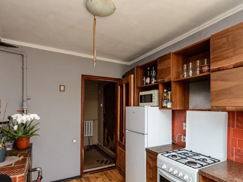 Bîc, Bubuieci Casă – 6 ari, beci și garaj