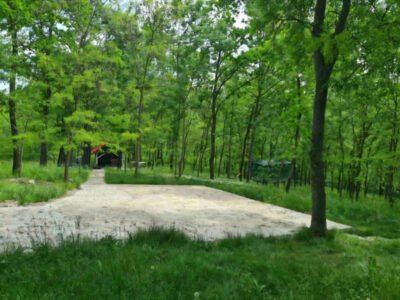 Teren de 62 ari în Poiana Domnească, utilități conectate