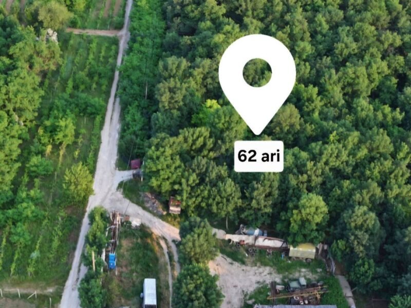 Teren de 62 ari în Poiana Domnească, utilități conectate