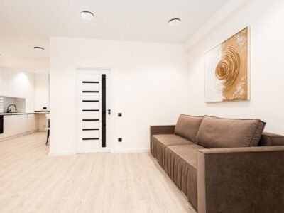 Apartament 1 cameră + living – Ialoveni