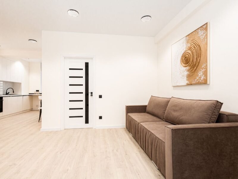 Apartament 1 cameră + living – Ialoveni