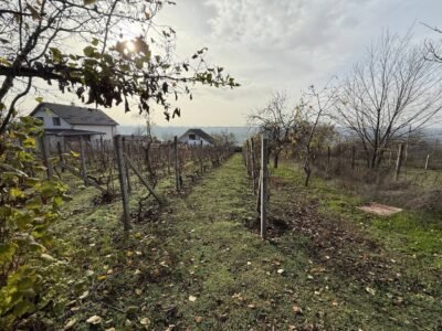 Teren pentru casă – Bubuieci