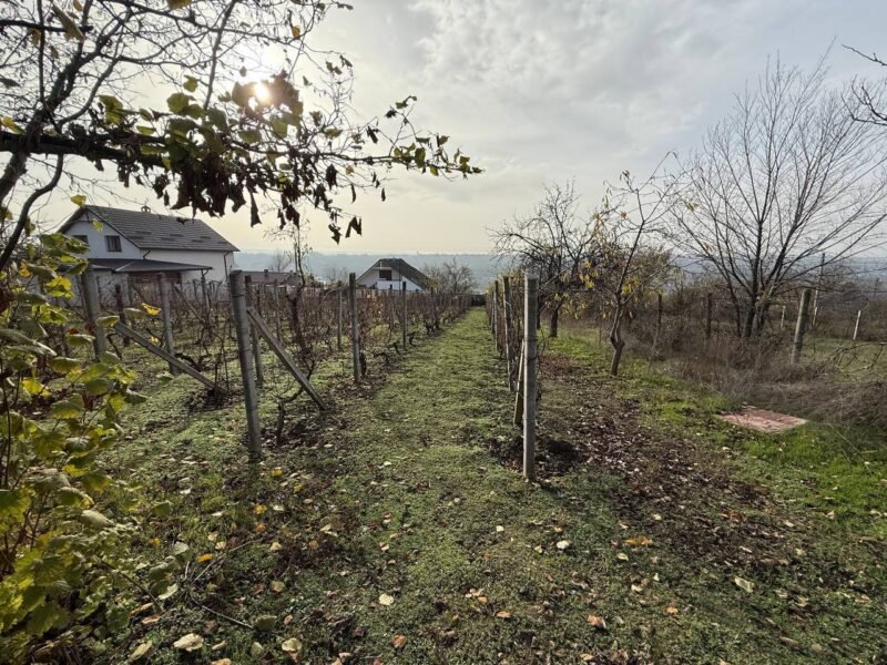 Teren pentru casă – Bubuieci