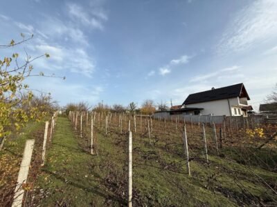 Teren pentru casă – Bubuieci