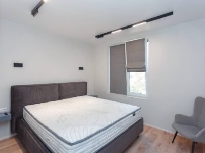 Centru – 1 dormitor + salon, 60 m², Valea Trandafirilor