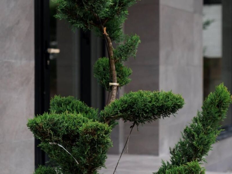 Casă la sol, 163 m², 3.7 ari, Bubuieci