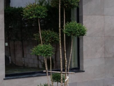 Casă la sol, 163 m², 3.7 ari, Bubuieci