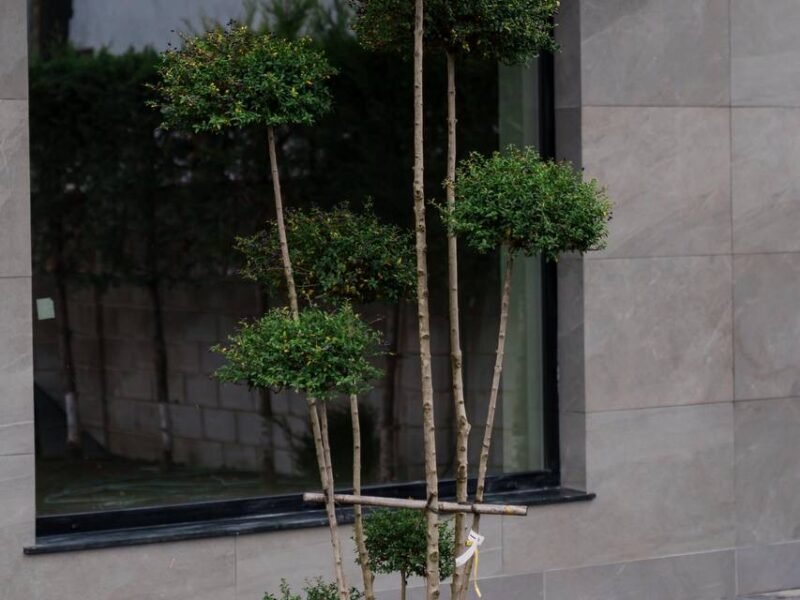 Casă la sol, 163 m², 3.7 ari, Bubuieci