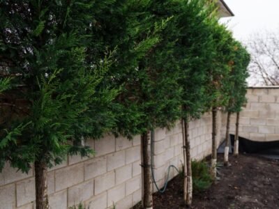 Casă la sol, 163 m², 3.7 ari, Bubuieci