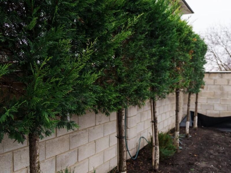 Casă la sol, 163 m², 3.7 ari, Bubuieci