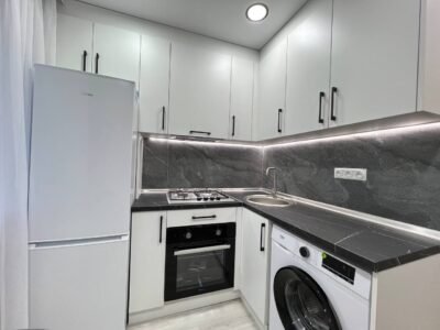 Botanica, 1 cameră, str. Zelinski, 32,5 m²