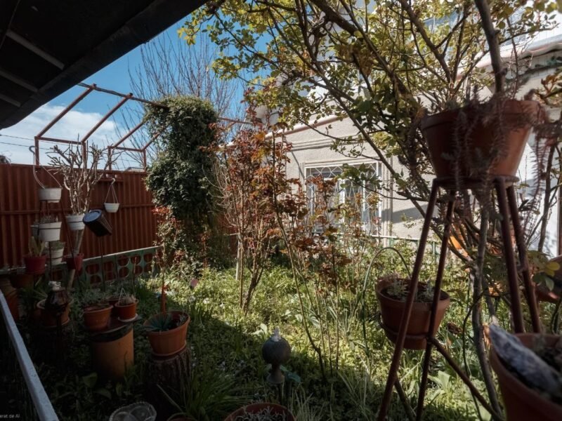 Poșta Veche, casă individuală, 100 m²