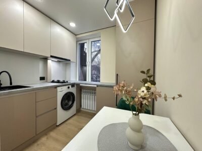 Centru, str. Grigore Vieru 21/3, 1 odaie, 25 m²