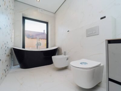 Cricova Centru – casă 6 dormitoare – str. Teilor – 510 m²