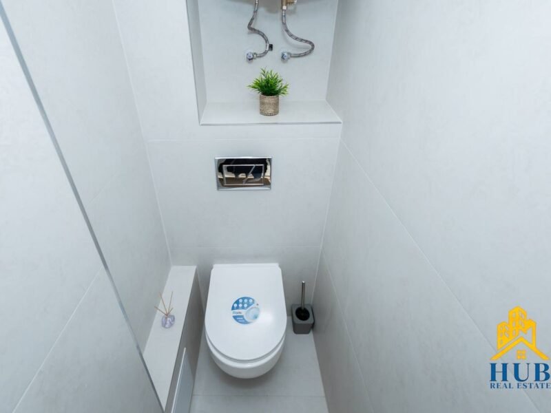 Rîșcani 2 camere + living Mircești 55 m²