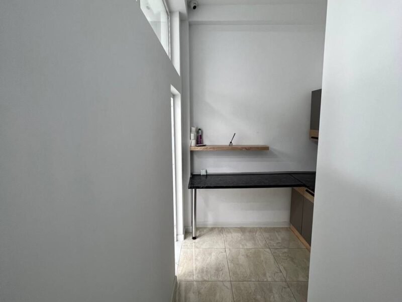 Buiucani · Spațiu comercial · str. Ion Creangă · 91 m²