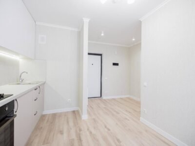 Botanica · 1 odaie · SkyHouse Bacioii Noi · 30 m²