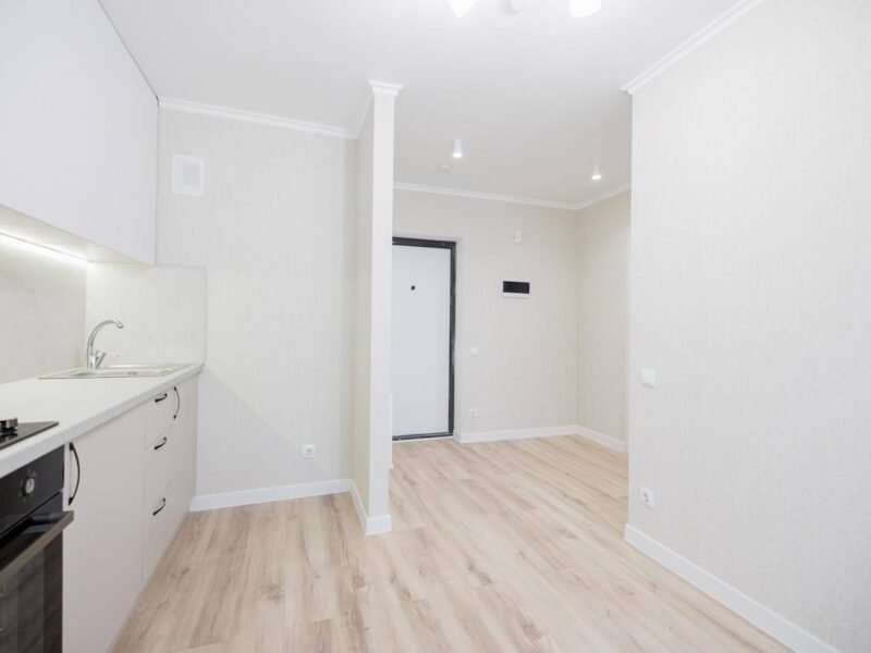 Botanica · 1 odaie · SkyHouse Bacioii Noi · 30 m²