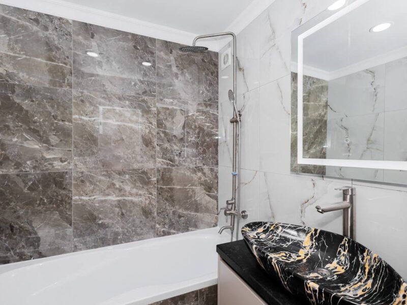 Botanica · 2 camere · str. Independenței · 54 m² + balcoane