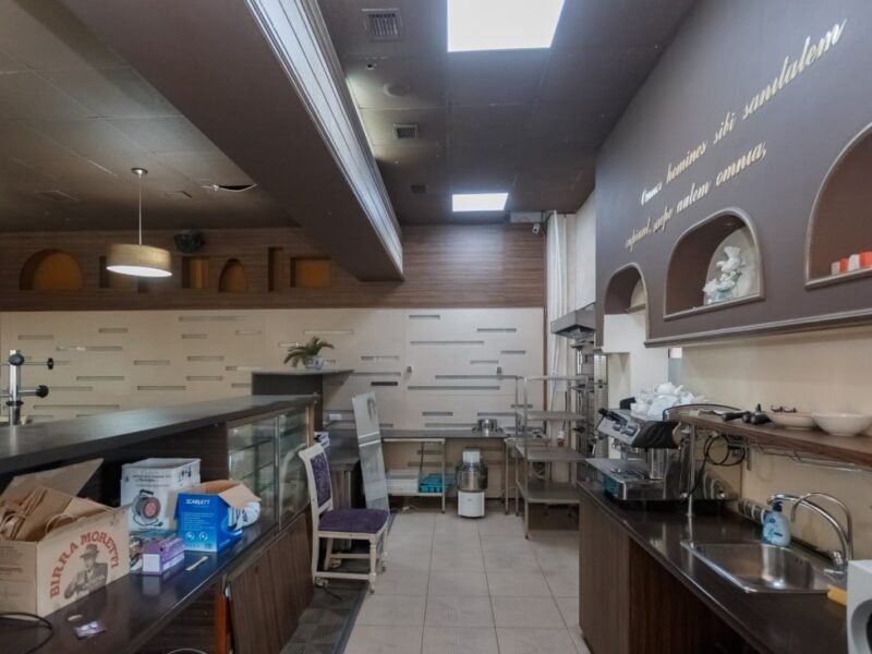 Stăuceni · Spațiu comercial · str. Unirii · 230 m²