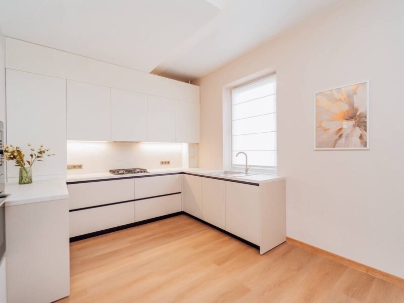 Buiucani · 3 dormitoare + living · str. Ștefan Neaga · 185 m²