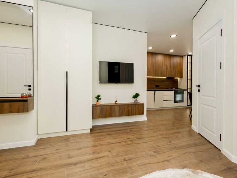 Apartament cu o cameră + living. Ciocana. Milescu Spataru
