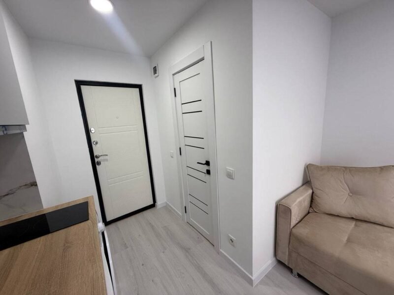 Apartament de tip studio. Telecentru