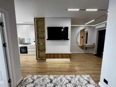 Apartament cu 1 camera si living la buiucani. Str. Vasile Lupu